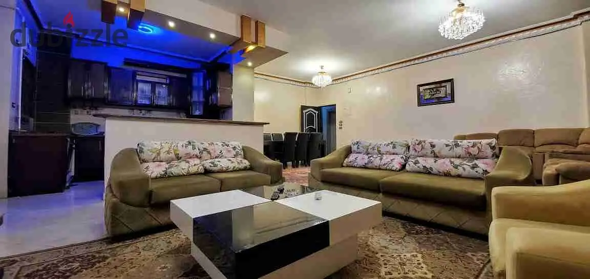 شقه مفروشه فرش فندوقى بالمستثمر الصغير بالشيخ زايد